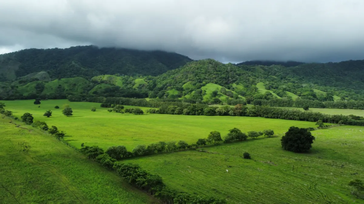 21 Flat Acres For Sale in Cambutal, Panama – Centrally Located