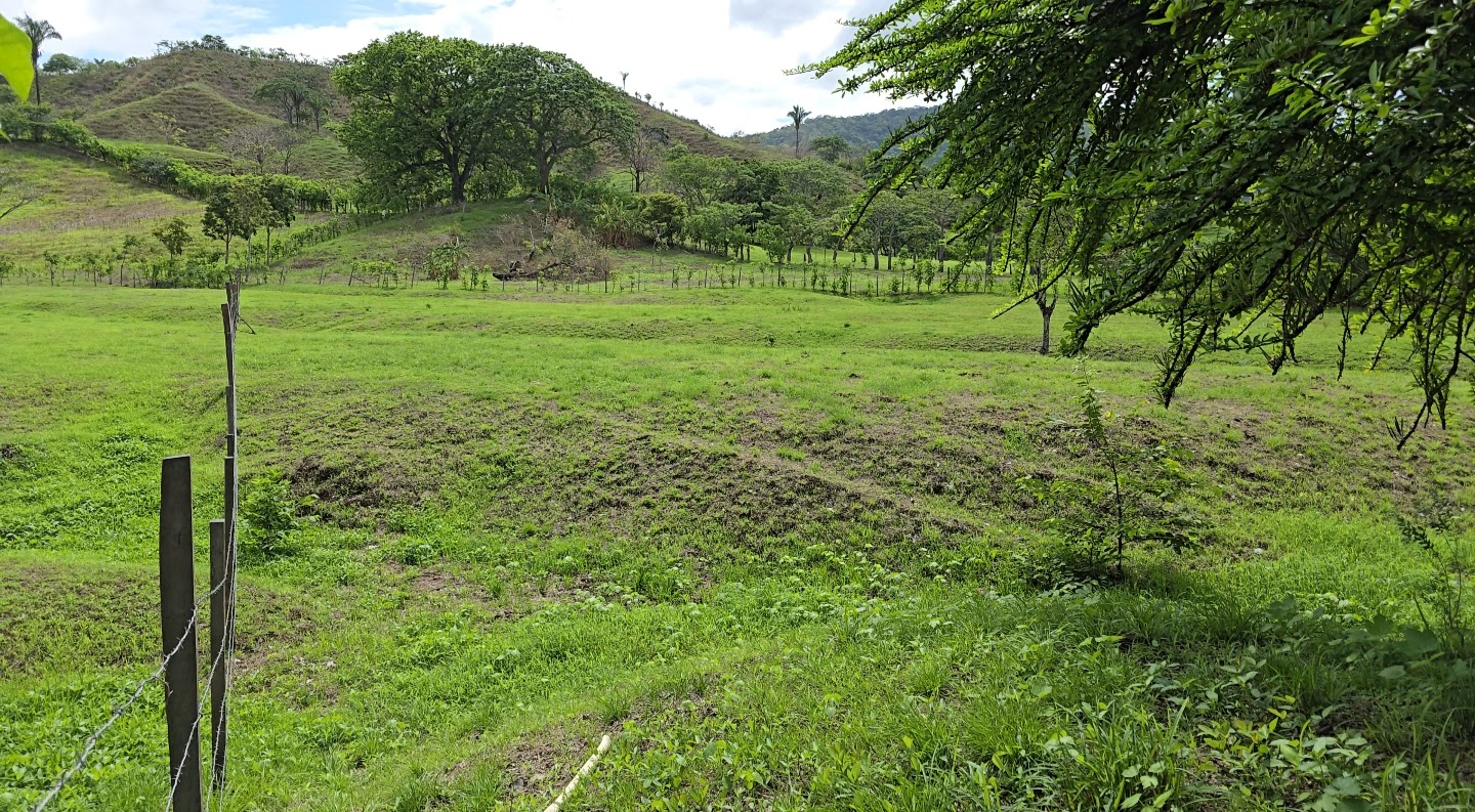 Affordable 0.59-Acre Property in Cambutal