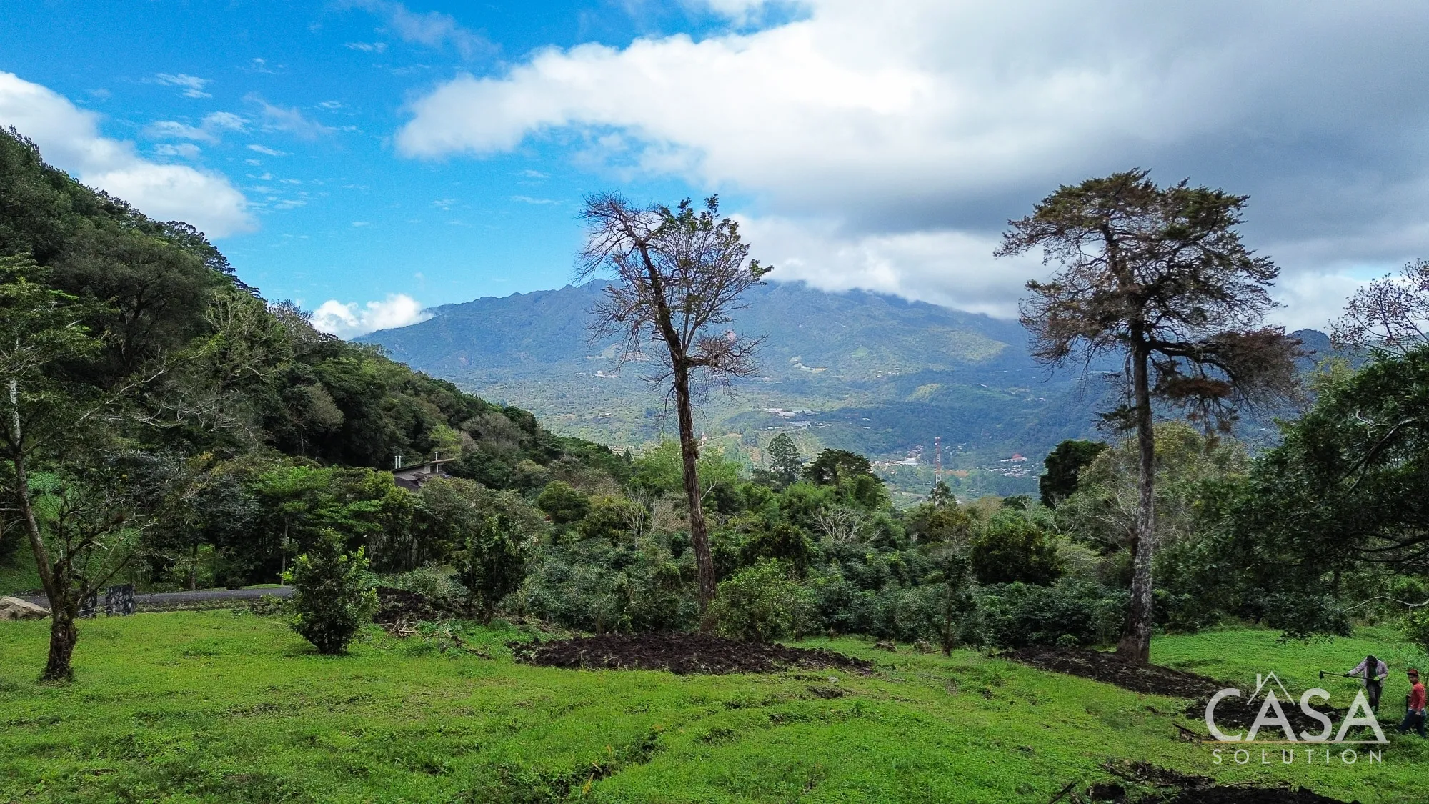 Large Lot for Sale in PH Las Terrazas, Jaramillo, Boquete with stunning mountain views, coffee plants, and great location near amenities